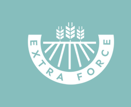 Logo Extra force